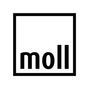Moll Bier
